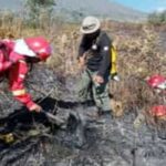 Kemenhut Cabut Izin Lima Perusahaan di Kalimantan Terkait Karhutla